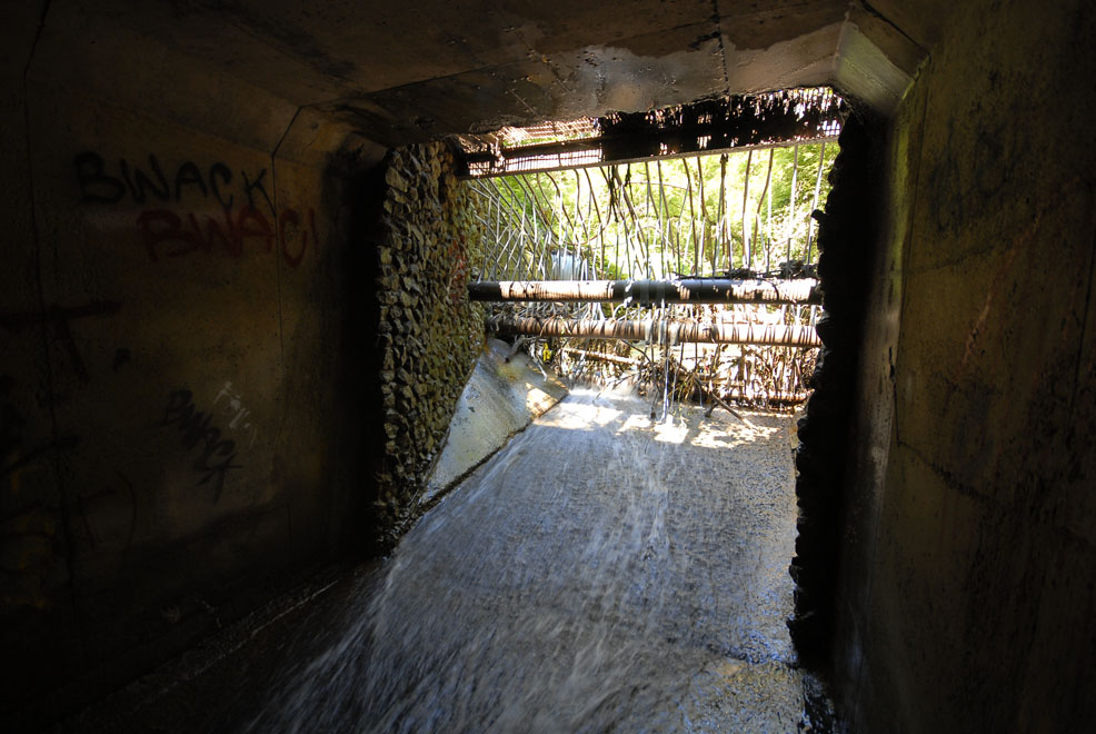 AOTU Drains Don River 21 Golden Steps