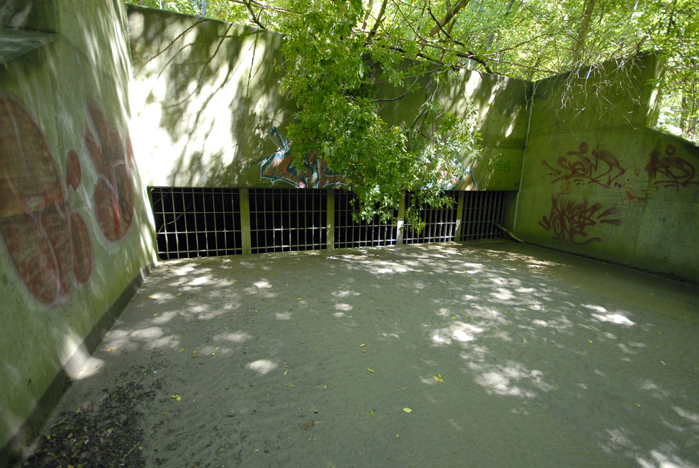 AOTU Drains Don River 21 Golden Steps