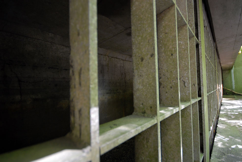 AOTU Drains Don River 21 Golden Steps