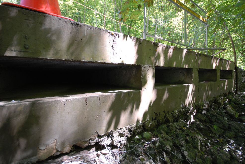 AOTU Drains Don River 21 Golden Steps